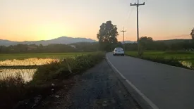 Land for sale in San Pong, Chiang Mai