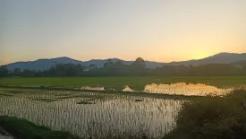 Land for sale in San Pong, Chiang Mai