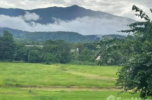 Land for sale in Rim Tai, Chiang Mai