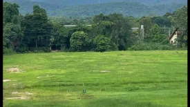 Land for sale in Rim Tai, Chiang Mai