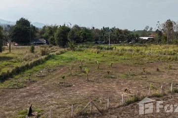 Land for sale in Huai Sai, Chiang Mai