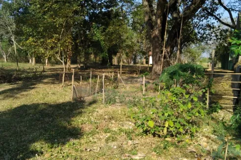 Land for sale in Nong Phlap, Prachuap Khiri Khan