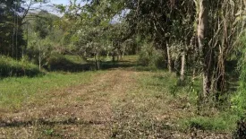 Land for sale in Nong Phlap, Prachuap Khiri Khan