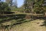 Land for sale in Nong Phlap, Prachuap Khiri Khan