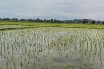 Land for sale in San Pong, Chiang Mai