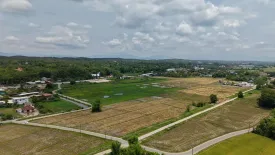 Land for sale in Khilek, Chiang Mai