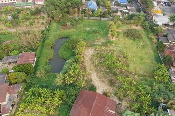 Land for sale in Rim Tai, Chiang Mai
