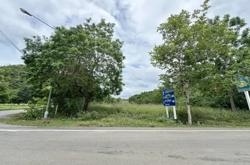 Land for sale in Sam Roi Yot, Prachuap Khiri Khan
