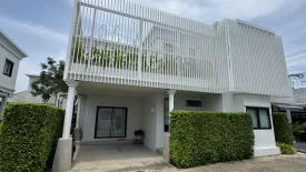 3 Bedroom Villa for rent in Bee Villa Wellness Resort Phuket, Choeng Thale, Phuket