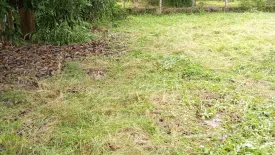 Land for sale in Wiang, Chiang Mai