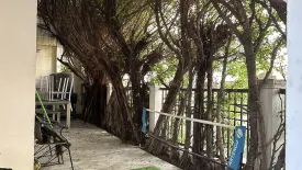 4 Bedroom Townhouse for sale in Baan Klang Krung Grande Vienna Rama 3, Bang Phong Pang, Bangkok