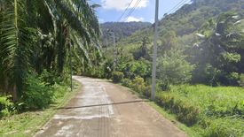 Land for sale in Ko Lanta Yai, Krabi