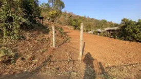 Land for sale in Pong Yaeng, Chiang Mai
