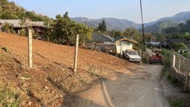 Land for sale in Pong Yaeng, Chiang Mai