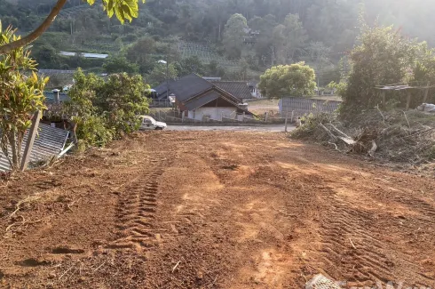Land for sale in Pong Yaeng, Chiang Mai