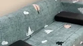 1 Bedroom Condo for sale in Q House Condo Sukhumvit 79, Phra Khanong Nuea, Bangkok near BTS On Nut