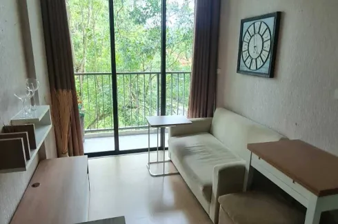 1 Bedroom Condo for rent in Zcape X2, Choeng Thale, Phuket