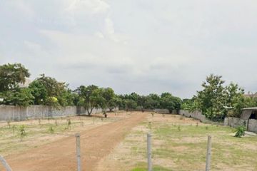 Land for sale in Nong Prue, Chonburi