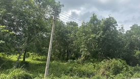 Land for sale in Ao Nang, Krabi