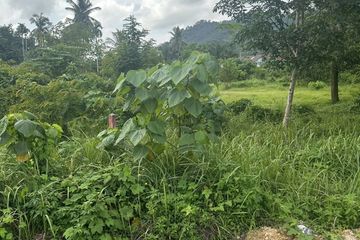 Land for sale in Ao Nang, Krabi