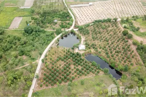 Land for sale in Tha Takhro, Phetchaburi