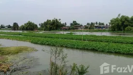 Land for sale in Don Faek, Nakhon Pathom