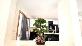 3 Bedroom Villa for rent in Rawai, Phuket