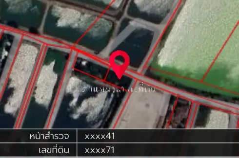 Land for sale in Bang Kluea, Chachoengsao