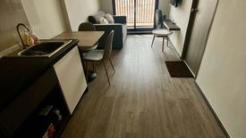 1 Bedroom Condo for rent in Rich Point @ BTS Wutthakat, Talat Phlu, Bangkok near BTS Wutthakat