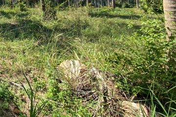 Land for sale in Mae Ramphueng, Prachuap Khiri Khan