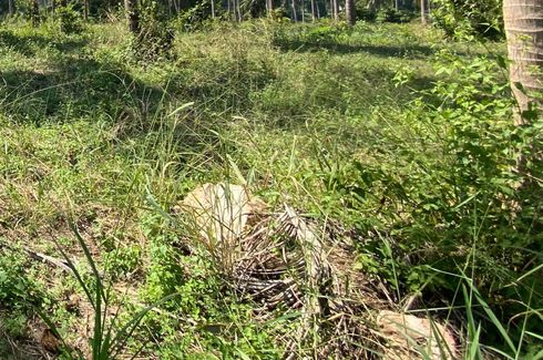 Land for sale in Mae Ramphueng, Prachuap Khiri Khan