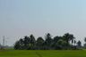 Land for sale in Bueng Bon, Pathum Thani