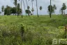 Land for sale in Taling Chan, Krabi