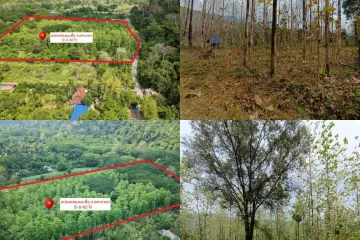 Land for sale in Sarika, Nakhon Nayok