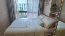 Condo for rent in Plum Condo Sukhumvit 97.1, Bang Chak, Bangkok near BTS Bang Chak