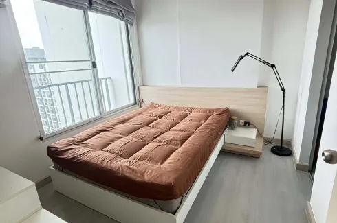 1 Bedroom Condo for rent in The Parkland Srinakarin, Samrong Nuea, Samut Prakan near MRT Si La Salle