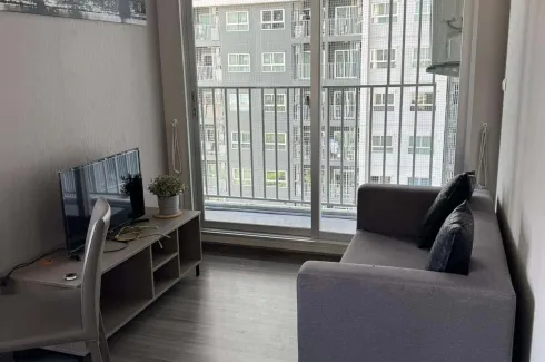 1 Bedroom Condo for rent in The Trust Condo @BTS Erawan, Pak Nam, Samut Prakan near BTS Erawan Museum