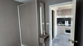 1 Bedroom Condo for rent in The Trust Condo @BTS Erawan, Pak Nam, Samut Prakan near BTS Erawan Museum