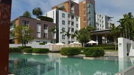 1 Bedroom Condo for rent in Serene Lake North 8, Mae Hia, Chiang Mai