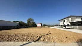 Land for sale in Buak Khang, Chiang Mai