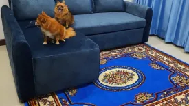 3 Bedroom House for rent in Khua Mung, Chiang Mai