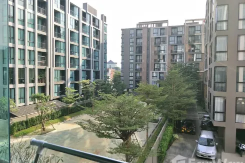 1 Bedroom Condo for rent in Palm Springs Nimman Phoenix, Suthep, Chiang Mai