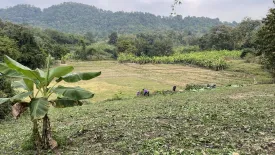 Land for sale in Sop Poeng, Chiang Mai