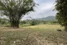 Land for sale in Sop Poeng, Chiang Mai