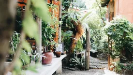 1 Bedroom House for rent in Baannoi Nornmuan, Wat Ket, Chiang Mai