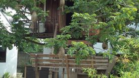 4 Bedroom House for rent in Nong Chom, Chiang Mai