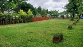 Land for sale in Nong Yaeng, Chiang Mai