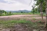 Land for sale in Choeng Doi, Chiang Mai