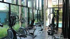 1 Bedroom Condo for rent in Palm Springs Nimman Fountain, Suthep, Chiang Mai