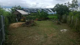Land for sale in Ban Kat, Chiang Mai
